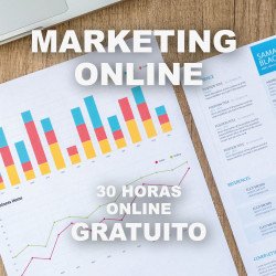 COMM0006 Marketing online:...