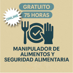 copy of Taller de...