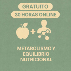 copy of Taller de...