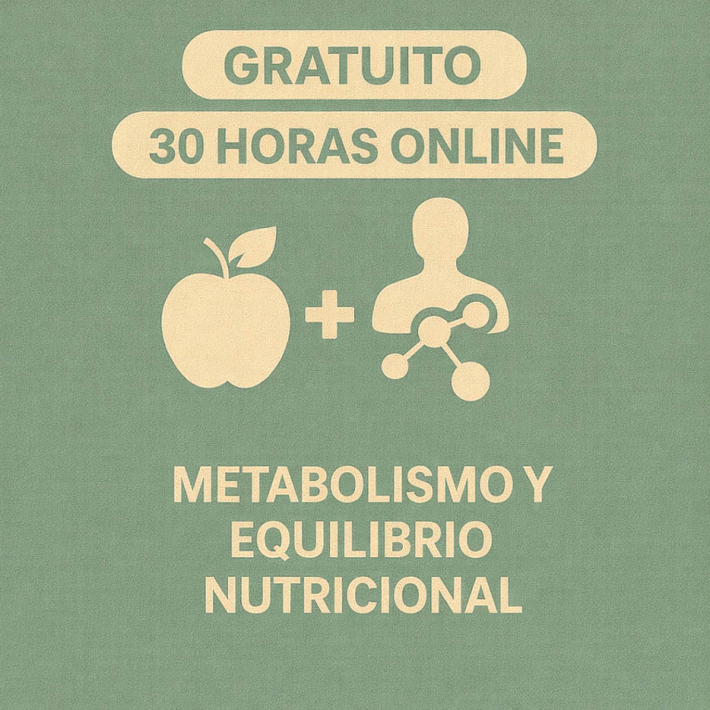 copy of Taller de Transformación Digital